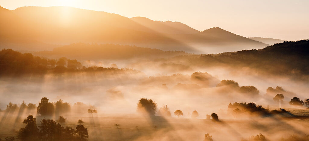 Sanfte Sonnenstrahlen erleuchten einen nebligen Morgen über einer hügeligen Landschaft mit Bäumen.