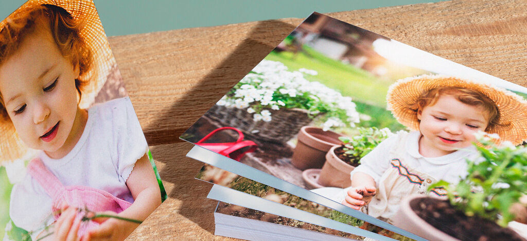 Eine Person mit einem Strohhut hält Pflanzen in der Hand, umgeben von blühenden Pflanzen. Auf dem Tisch liegen mehrere Fotobücher mit bunten Bildern.