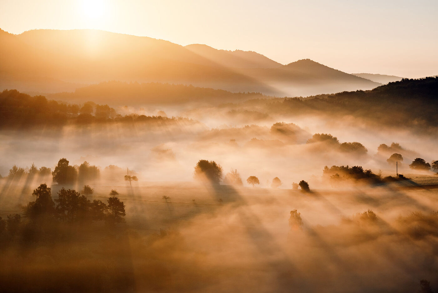Morgensonne taucht Nebellandschaft in warmes Licht
