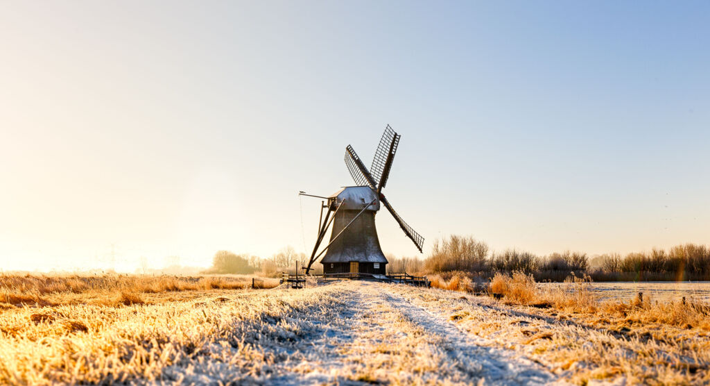 Wintersonne taucht Feldweg in goldenes Licht, der zu einer alten Windmühle führt.