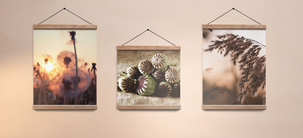Drei wunderschöne Bilder mit Naturmotiven, aufgehängt an einer Wand. Links ein Foto von Wiesenblumen im Sonnenuntergang, in der Mitte eine Nahaufnahme von Tannenzapfen und rechts eine Aufnahme von Gräsern im sanften Licht.