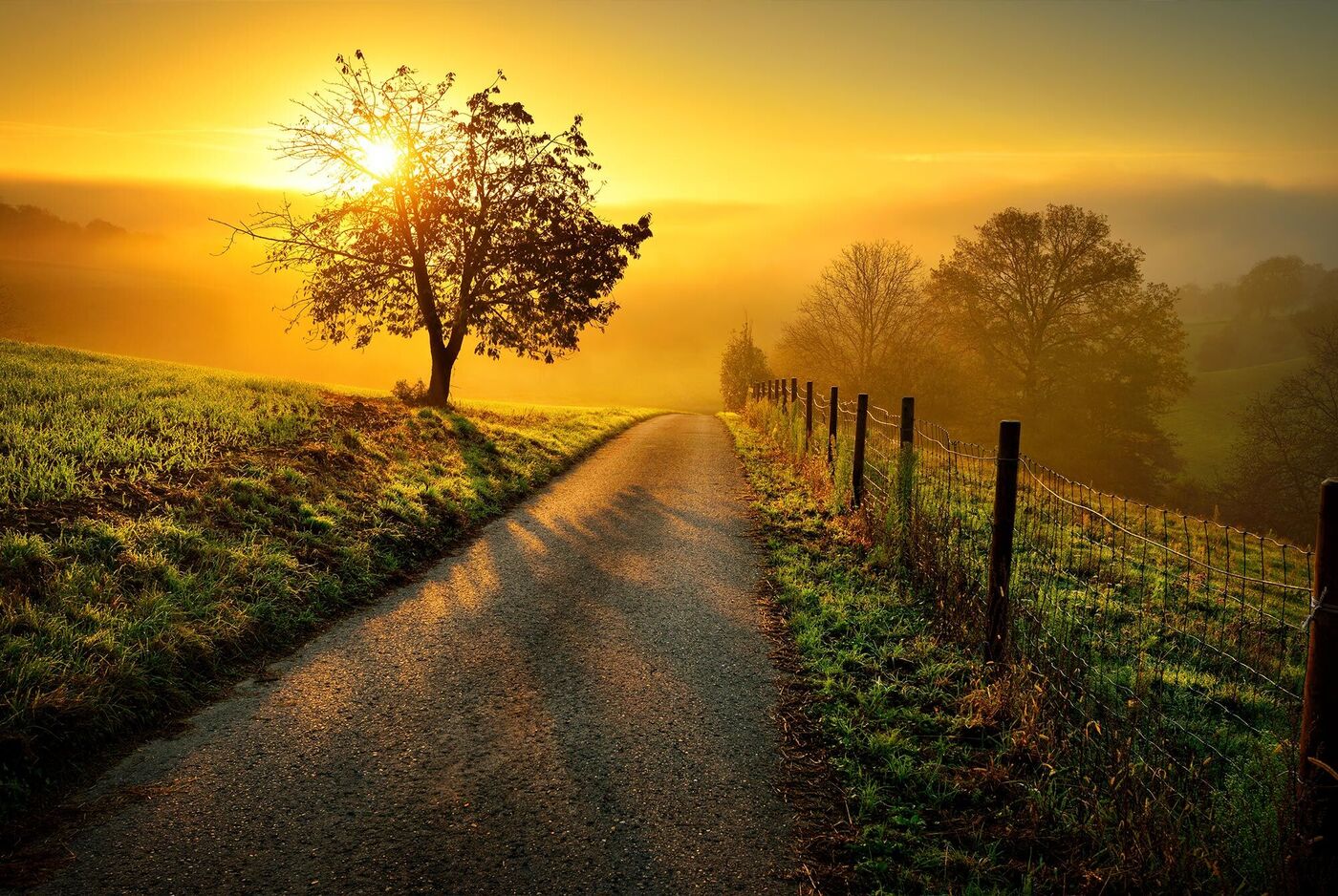Sonniger Weg durch eine idyllische Landschaft mit Bäumen und einem leuchtenden Sonnenuntergang.