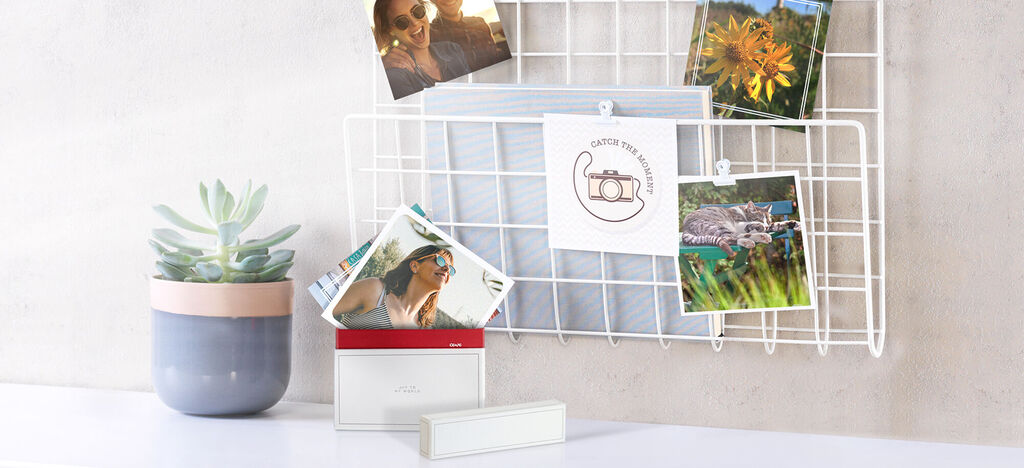 Ein kreativer Wandorganizer zeigt Fotos, Pflanzen und eine liebevolle Botschaft.